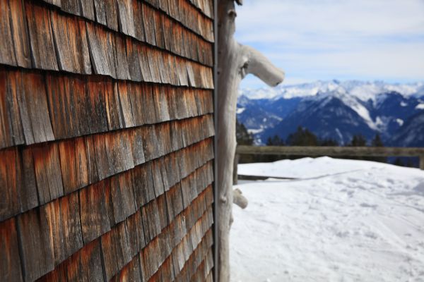 Cedar Siding Repair in Antioch