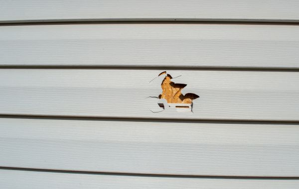 Siding Hole Patching in Antioch